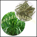 DRIED CITRONELLA LEAF/ LEMONGRASS LEAVES